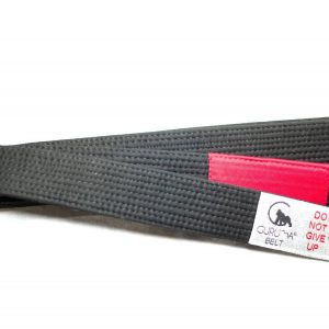 BJJ Belt